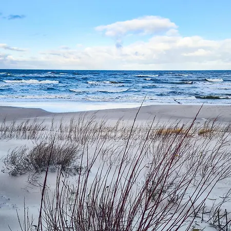 Hyggebaltic * Zastan