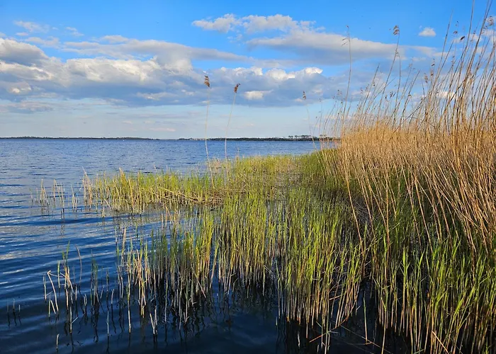 Hyggebaltic New Translation